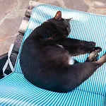 Bed and breakfast Bella Salmagi - Surya Sardinia Holidays & Yoga Capitana