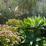 Bed and breakfast Bella Salmagi - Surya Sardinia Holidays & Yoga 4*