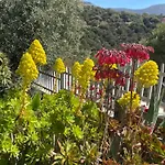 Bed and breakfast Bella Salmagi - Surya Sardinia Holidays & Yoga 4*