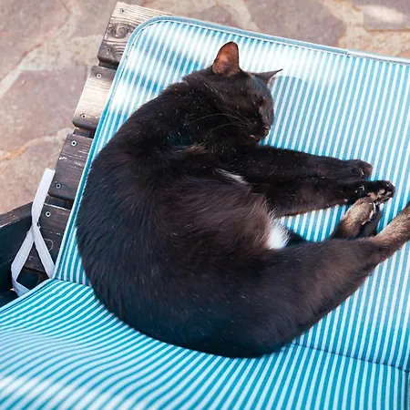 Bed and Breakfast Bella Salmagi - Surya Sardinia Holidays & Yoga Capitana