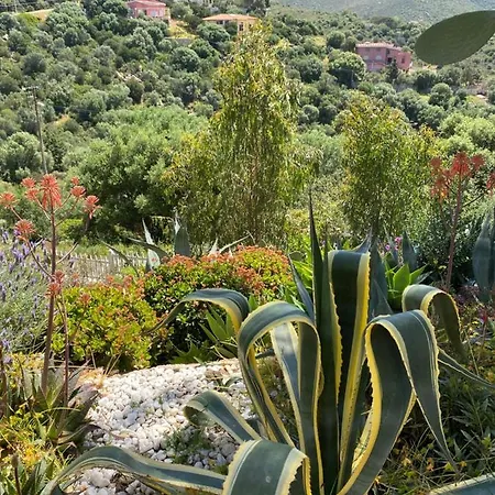 Bella Salmagi - Surya Sardinia Holidays & Yoga Frühstückspension *
