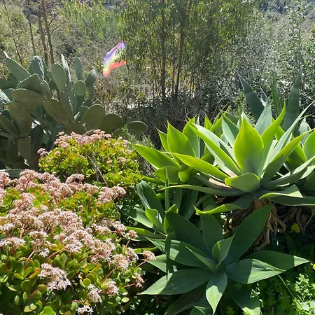 Bed & Breakfast Bella Salmagi - Surya Sardinia Holidays & Yoga *