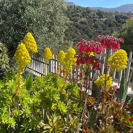 Bed & Breakfast Bella Salmagi - Surya Sardinia Holidays & Yoga *