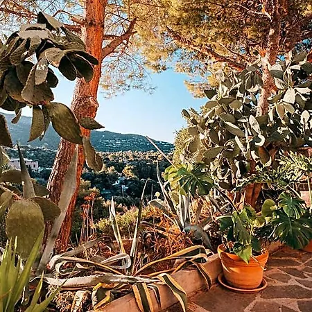 Bella Salmagi - Surya Sardinia Holidays & Yoga 4*