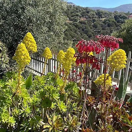 Bella Salmagi - Surya Sardinia Holidays & Yoga