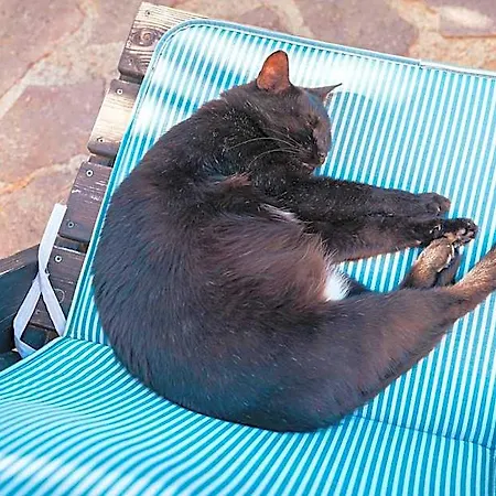 Bella Salmagi - Surya Sardinia Holidays & Yoga