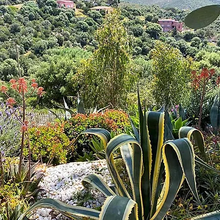 Bella Salmagi - Surya Sardinia Holidays & Yoga 住宿加早餐酒店 4*